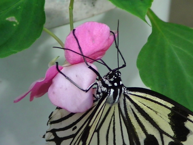 �`���E�`��