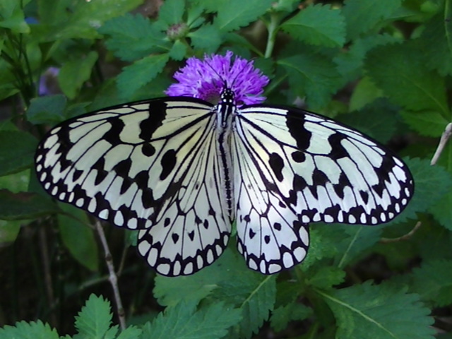 �`���E�`��