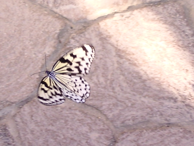 �`���E�`��