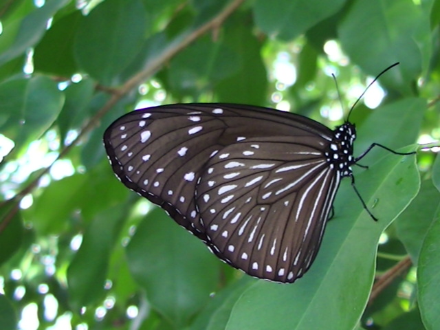 �`���E�`��