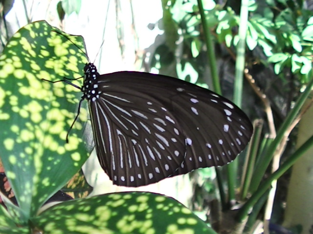 �`���E�`��