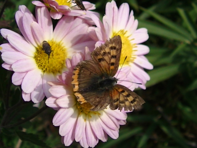 �`���E�`��