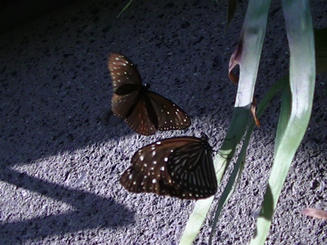 �`���E�`��