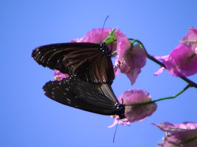 �`���E�`��