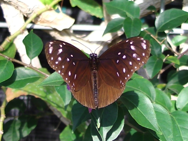 �`���E�`��