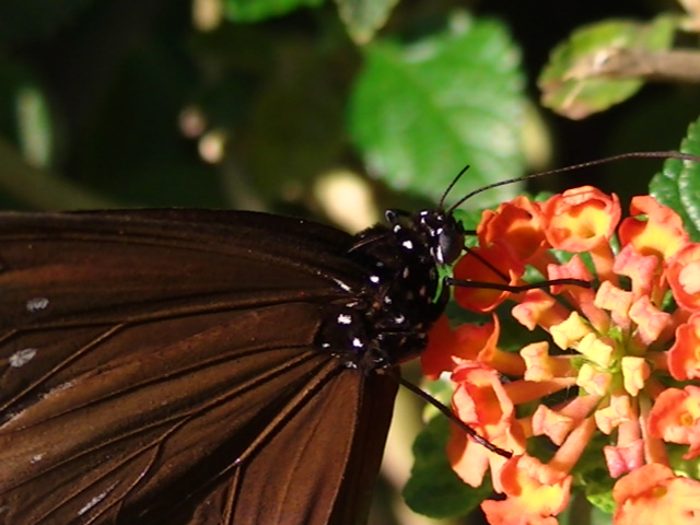 �`���E�`��