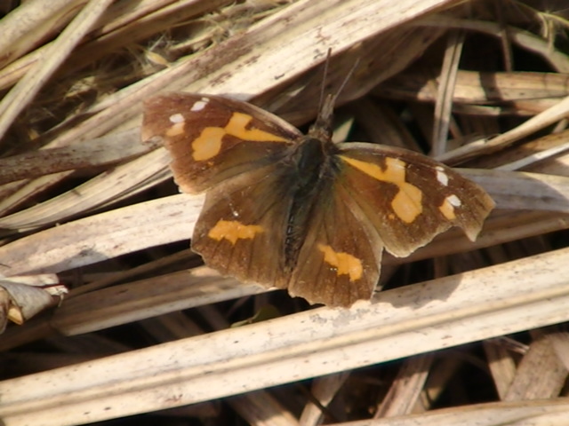 �`���E�`��