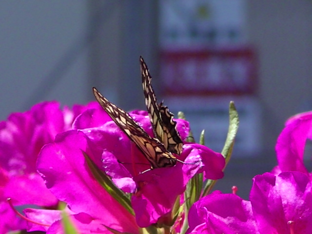 �`���E�`��