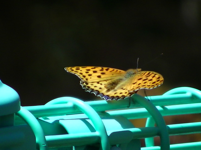 �`���E�`��