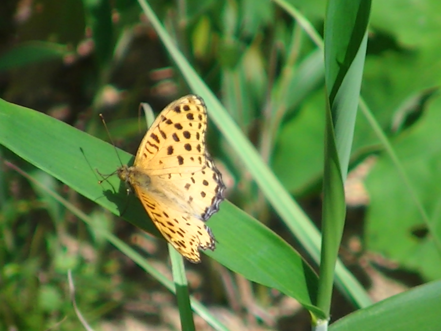 �`���E�`��