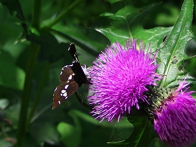 �`���E�`��