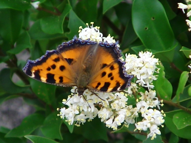 �`���E�`��