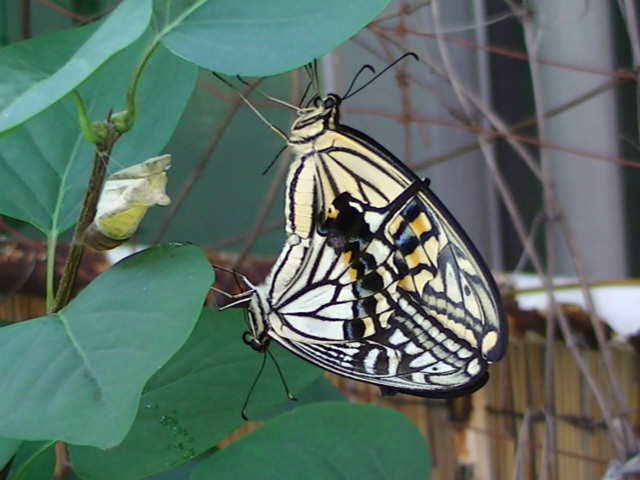 �`���E�`��