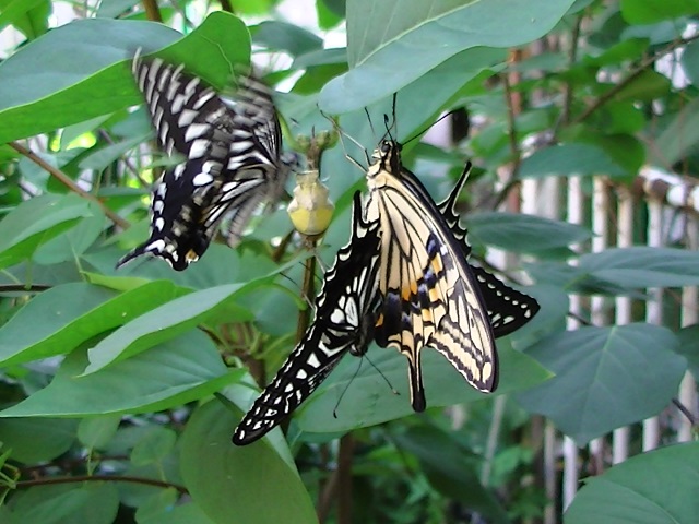 �`���E�`��