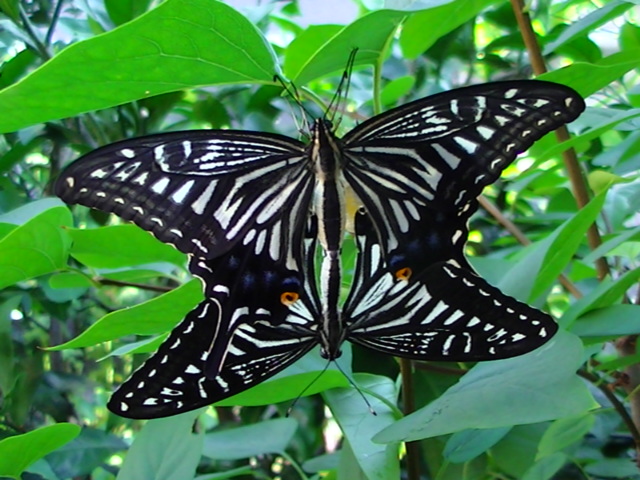 �`���E�`��