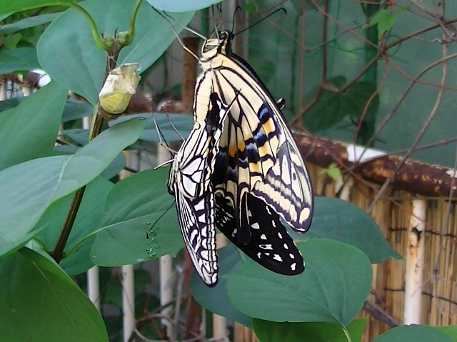 �`���E�`��