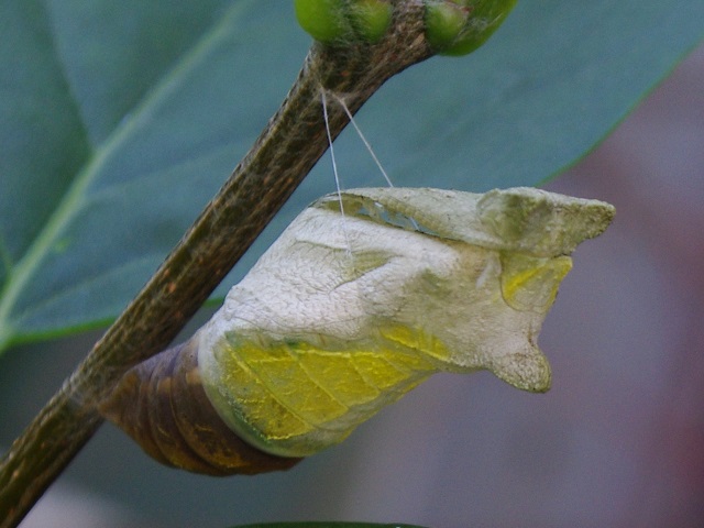 �`���E�`��