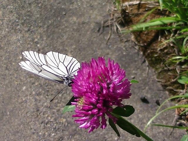 �`���E�`��