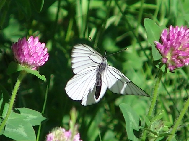 �`���E�`��