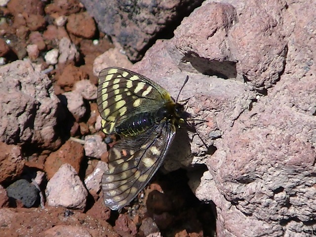 �`���E�`��