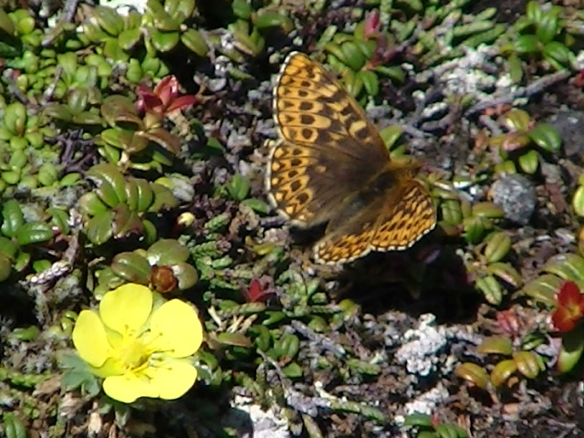 �`���E�`��