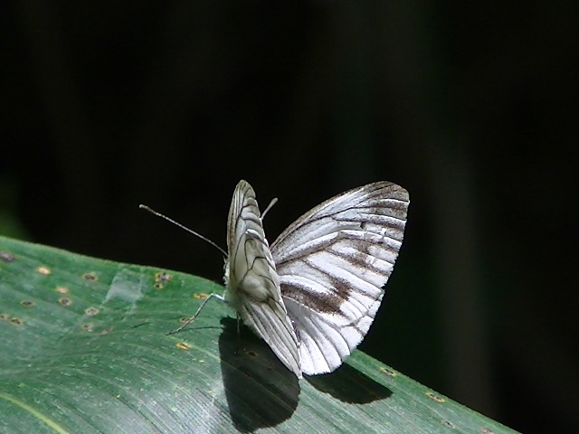 �`���E�`��