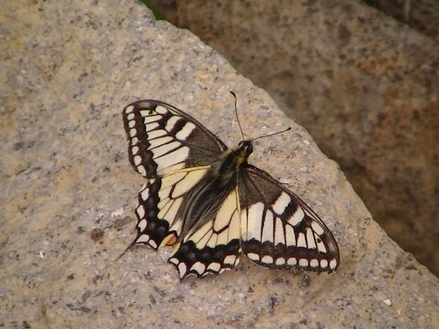 �`���E�`��