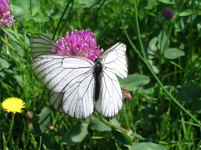 �`���E�`��