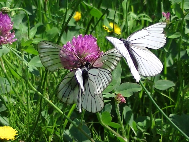 �`���E�`��