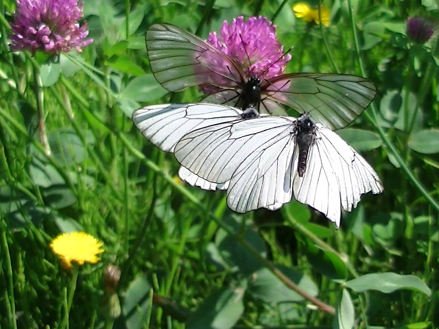 �`���E�`��