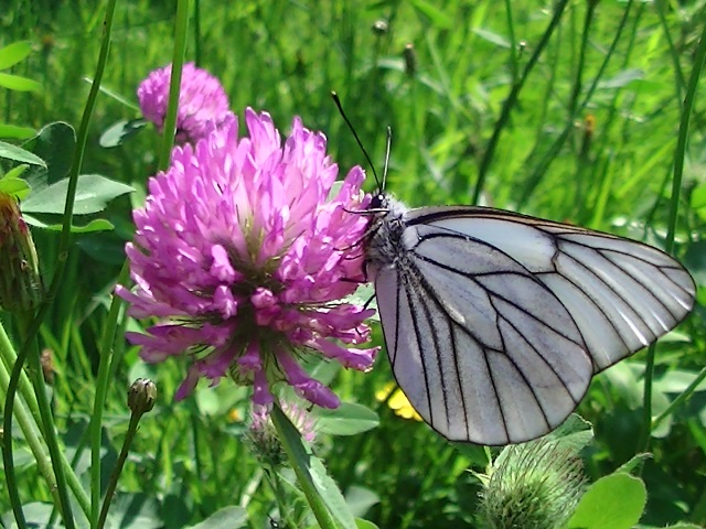 �`���E�`��