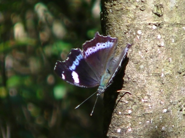 �`���E�`��