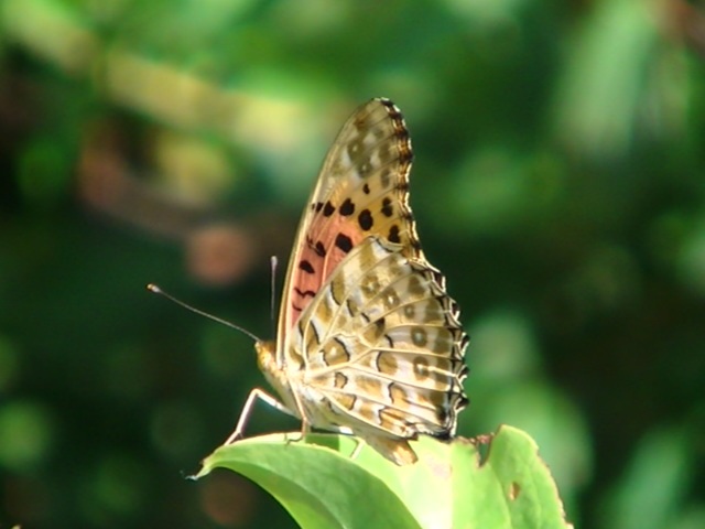 �`���E�`��