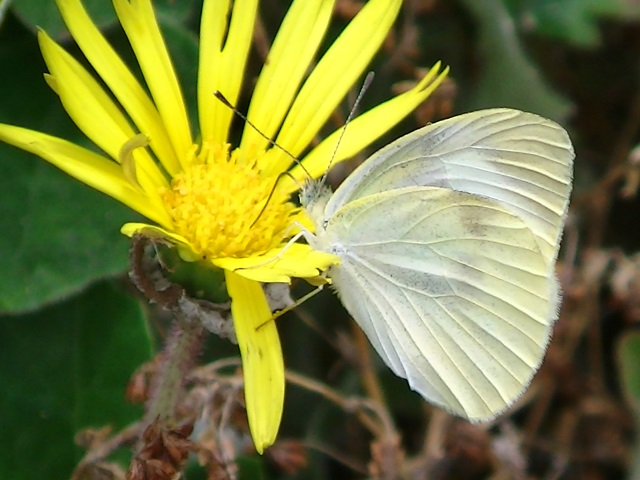 �`���E�`��