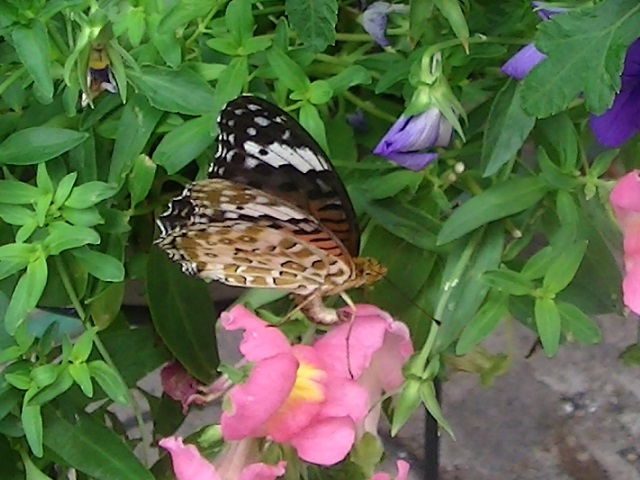 �`���E�`��