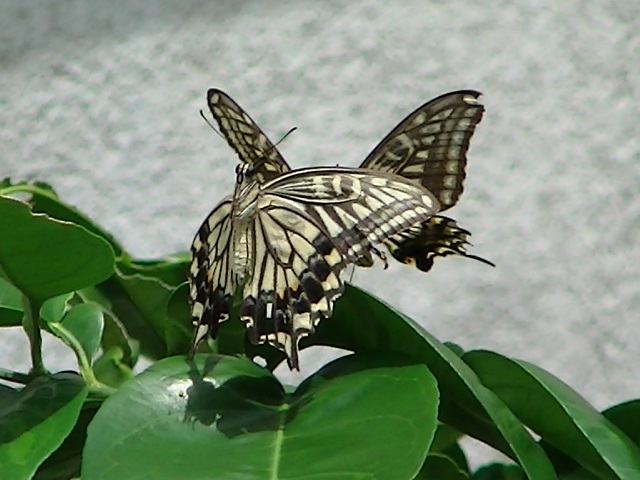 �`���E�`��