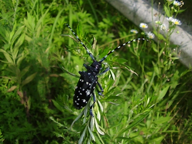 �`���E�`��