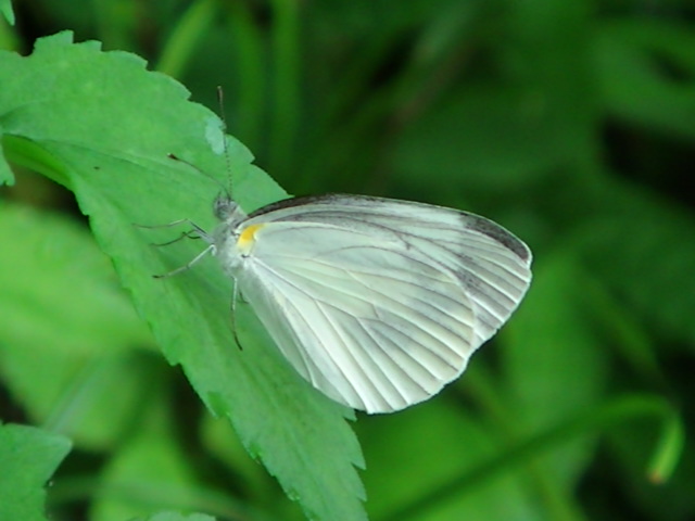 �`���E�`��