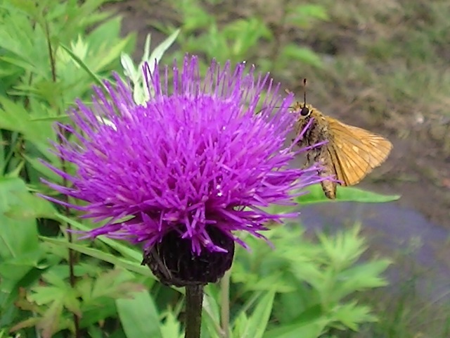 �`���E�`��