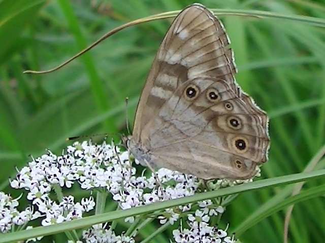 �`���E�`��