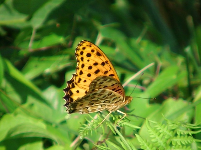 �`���E�`��