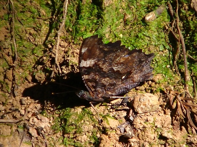 �`���E�`��