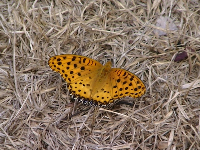 �`���E�`��