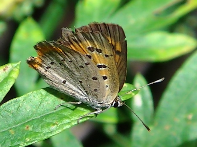 �`���E�`��