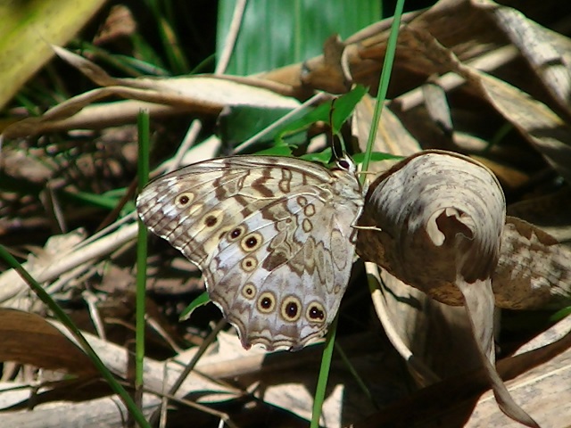 �`���E�`��