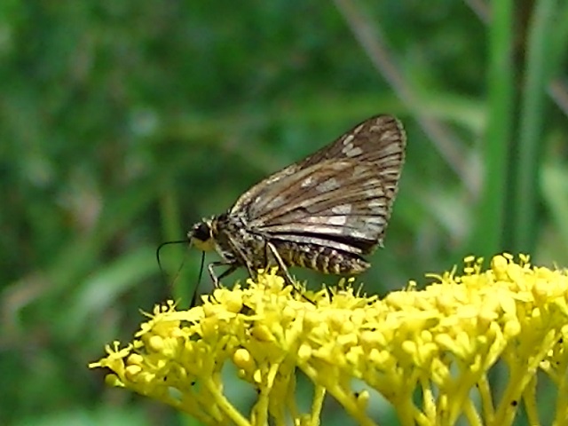 �`���E�`��