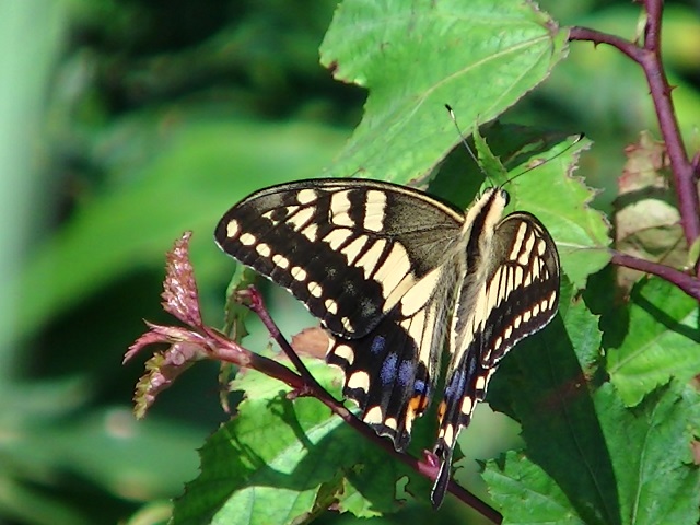 �`���E�`��