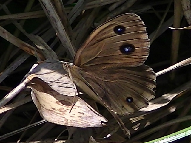 �`���E�`��