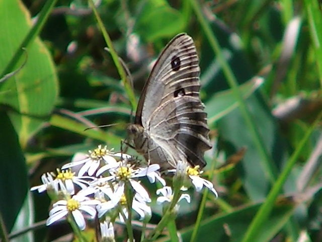 �`���E�`��