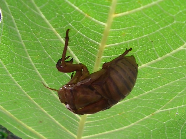 �`���E�`��